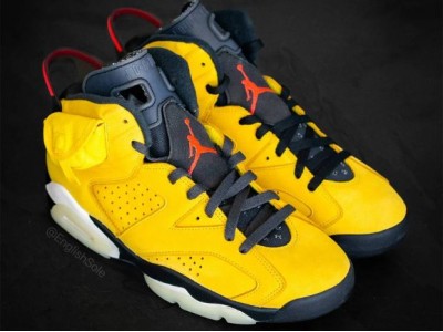 Air Jordan 6