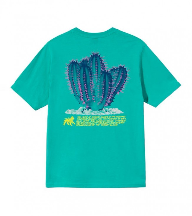 Stussy Desert Bloom Tee Green