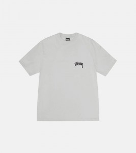 Stussy Toucan Tee Fog - Фото №2