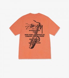 Stussy Beat Sounds Pig. Dyed Tee Rust