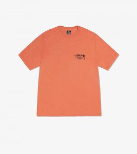 Stussy Beat Sounds Pig. Dyed Tee Rust - Фото №2