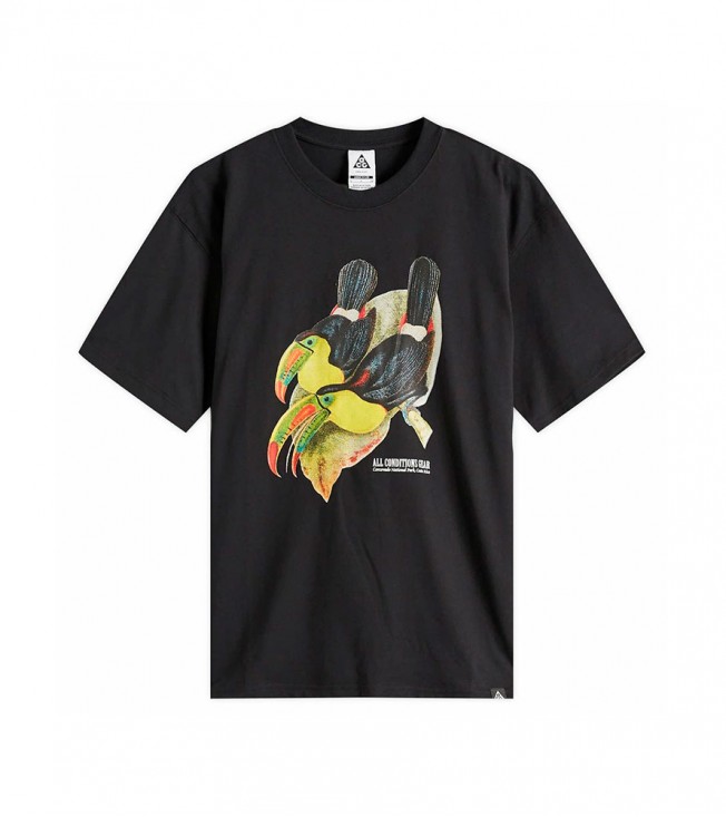 Nike Acg Dri-fit Toucan T-shirt Oversize