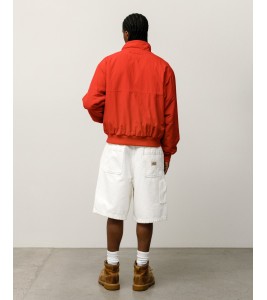 Шорты Stussy Canvas Work Short Bone - Фото №2