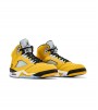 Jordan 5 Retro Tokyo T23 (2025)