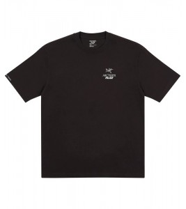 Футболка Palace Arc'Teryx T-Shirt Black - Фото №2