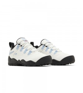 Nike SB Darwin Low Supreme Sail - Фото №2
