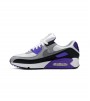 Nike Air Max 90 Recraft Grape WMNS