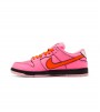 Nike SB Dunk Low The Powerpuff Girls Blossom