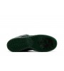 Nike SB Dunk Low There Skateboards