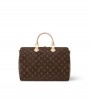Сумка Louis Vuitton Speedy Bandoulière 35