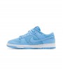 Nike Dunk Low Topography University Blue