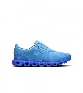 On Running Cloud 6 Shf Gourami Pier Wmns