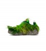 Nike CPFM Flea 1 Cactus Plant Flea Market Overgrown Forest Green
