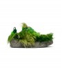 Nike CPFM Flea 1 Cactus Plant Flea Market Overgrown Forest Green