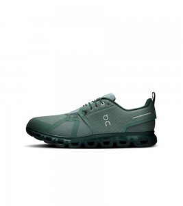 On Cloud 6 Waterproof Thorn Black Olive Evergreen - Фото №2
