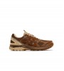 ASICS Gel-Terrain Gore-Tex nonnative