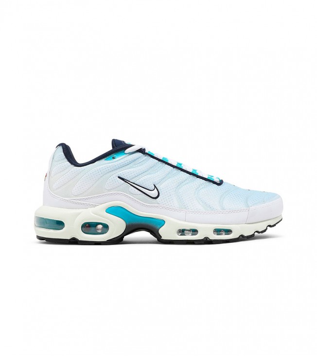 Nike Air Max Plus Sky Blue White