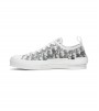 Dior B23 Low Top Logo Oblique