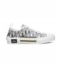 Dior B23 Low Top Logo Oblique