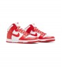 NIKE Dunk HI RETRO