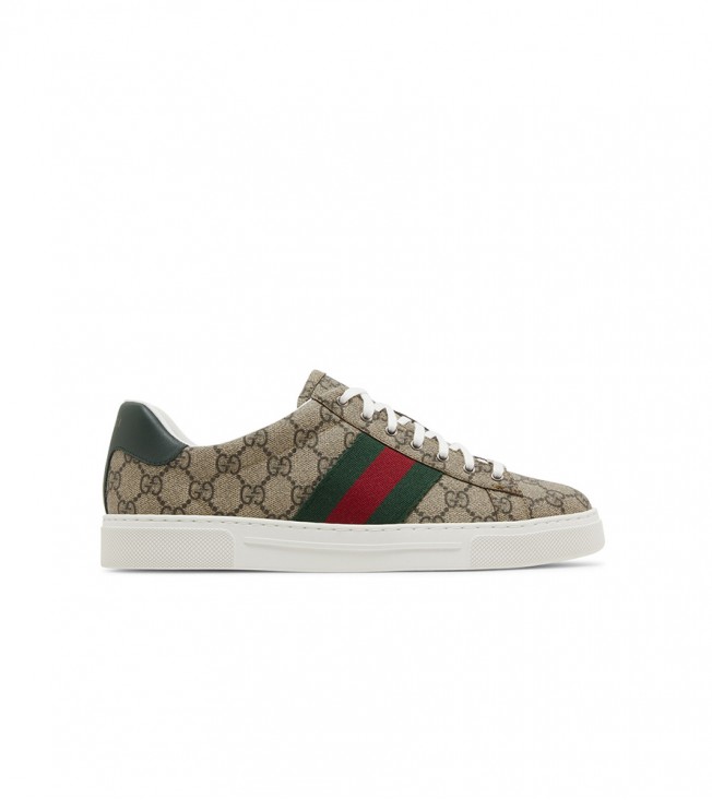 Gucci Ace Web Beige Ebony