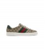 Gucci Ace Web Beige Ebony