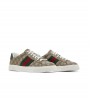 Gucci Ace Web Beige Ebony