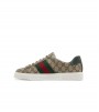 Gucci Ace Web Beige Ebony