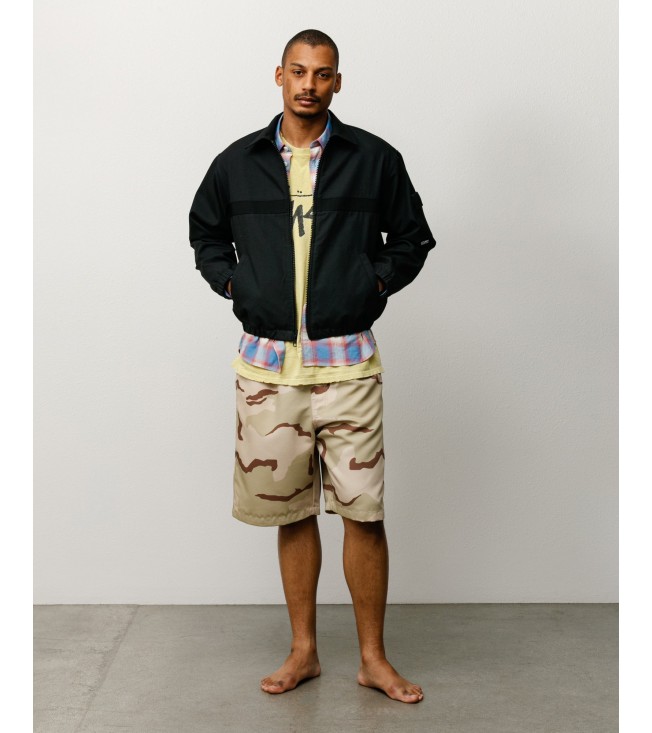 Шорты Stussy Baggy Beach Short Sand Camo