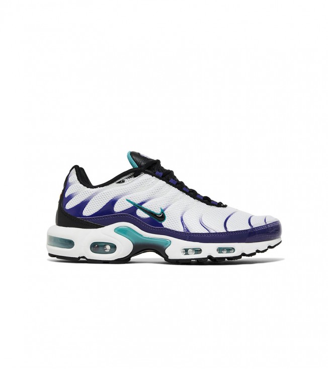 Nike Air Max Plus Aqua