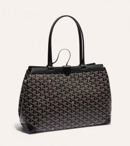 Сумка Goyard Bellechasse Biaude PM Bag Black