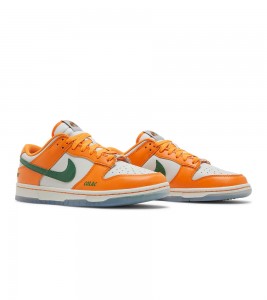 Nike Dunk Low Florida A&M University - ???? ?20