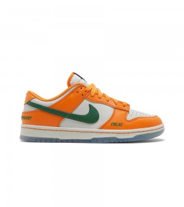 Nike Dunk Low Florida A&M University