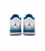 Jordan 3 Retro Wizards