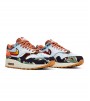 Nike Air Max 1 SP Concepts Heavy
