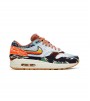 Nike Air Max 1 SP Concepts Heavy