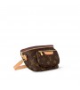 Сумка Louis Vuitton Mini Bumbag