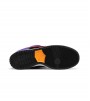 Nike SB Dunk Low ACG Terra