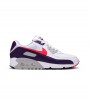 Nike Air Max 90 Eggplant WMNS