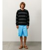 Шорты Stussy Curved Panel Board Short Light Blue