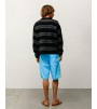 Шорты Stussy Curved Panel Board Short Light Blue