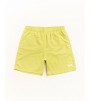 Шорты Stussy Stock Water Short Lime