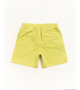 Шорты Stussy Stock Water Short Lime - ???? ?20