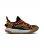 Nike ACG Mountain Fly Low GTX 