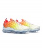 Nike Air VaporMax Plus WMNS
