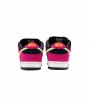 Nike SB Dunk Low Pro ACG Terra Red Plum