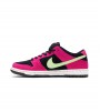 Nike SB Dunk Low Pro ACG Terra Red Plum