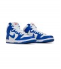 Nike Dunk High Pro
