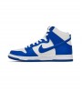 Nike Dunk High Pro