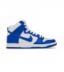 Nike Dunk High Pro